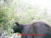 Filename=20080818_2_0009.JPG
Filesize=986KiB
Dimensions=2560x1920
Date added=Aug 27, 2008 20080818_2_0009.JPG