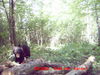 Filename=20080819_1_0045.JPG
Filesize=977KiB
Dimensions=2560x1920
Date added=Aug 27, 2008 20080819_1_0045.JPG