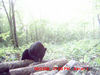 Filename=20080821_1_0035.JPG
Filesize=50KiB
Dimensions=600x450
Date added=Aug 27, 2008 20080821_1_0035.JPG