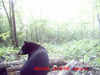 Filename=20080821_1_0038.JPG
Filesize=52KiB
Dimensions=600x450
Date added=Aug 27, 2008 20080821_1_0038.JPG