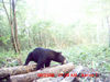 Filename=20080821_2_0034.JPG
Filesize=52KiB
Dimensions=600x450
Date added=Aug 27, 2008 20080821_2_0034.JPG