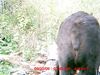 20080822_2_0038.JPG