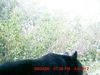 Filename=20080824_2_0011.JPG
Filesize=90KiB
Dimensions=640x480
Date added=Aug 27, 2008 20080824_2_0011.JPG