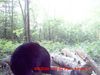 Filename=20080825_1_0021.JPG
Filesize=67KiB
Dimensions=640x480
Date added=Aug 27, 2008 20080825_1_0021.JPG
