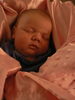 Filename=P1050058.JPG
Filesize=156KiB
Dimensions=600x800
Date added=Jan 01, 2007 P1050058.JPG