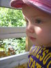 Filename=DSCN0240.JPG
Filesize=1414KiB
Dimensions=2448x3264
Date added=Aug 03, 2008 DSCN0240.JPG