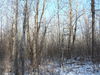 Filename=P1050856.JPG
Filesize=246KiB
Dimensions=800x600
Date added=Feb 12, 2007 P1050856.JPG