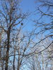 Filename=P1050869.JPG
Filesize=283KiB
Dimensions=600x800
Date added=Feb 12, 2007 P1050869.JPG