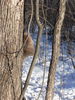 Filename=P1050875.JPG
Filesize=313KiB
Dimensions=600x800
Date added=Feb 12, 2007 P1050875.JPG