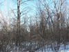 Filename=P1050884.JPG
Filesize=276KiB
Dimensions=800x600
Date added=Feb 12, 2007 P1050884.JPG