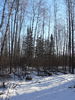 Filename=P1050890.JPG
Filesize=260KiB
Dimensions=600x800
Date added=Feb 12, 2007 P1050890.JPG