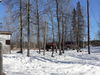 Filename=P1050905.JPG
Filesize=281KiB
Dimensions=800x600
Date added=Feb 12, 2007 P1050905.JPG