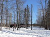 Filename=P1050906.JPG
Filesize=259KiB
Dimensions=800x600
Date added=Feb 12, 2007 P1050906.JPG